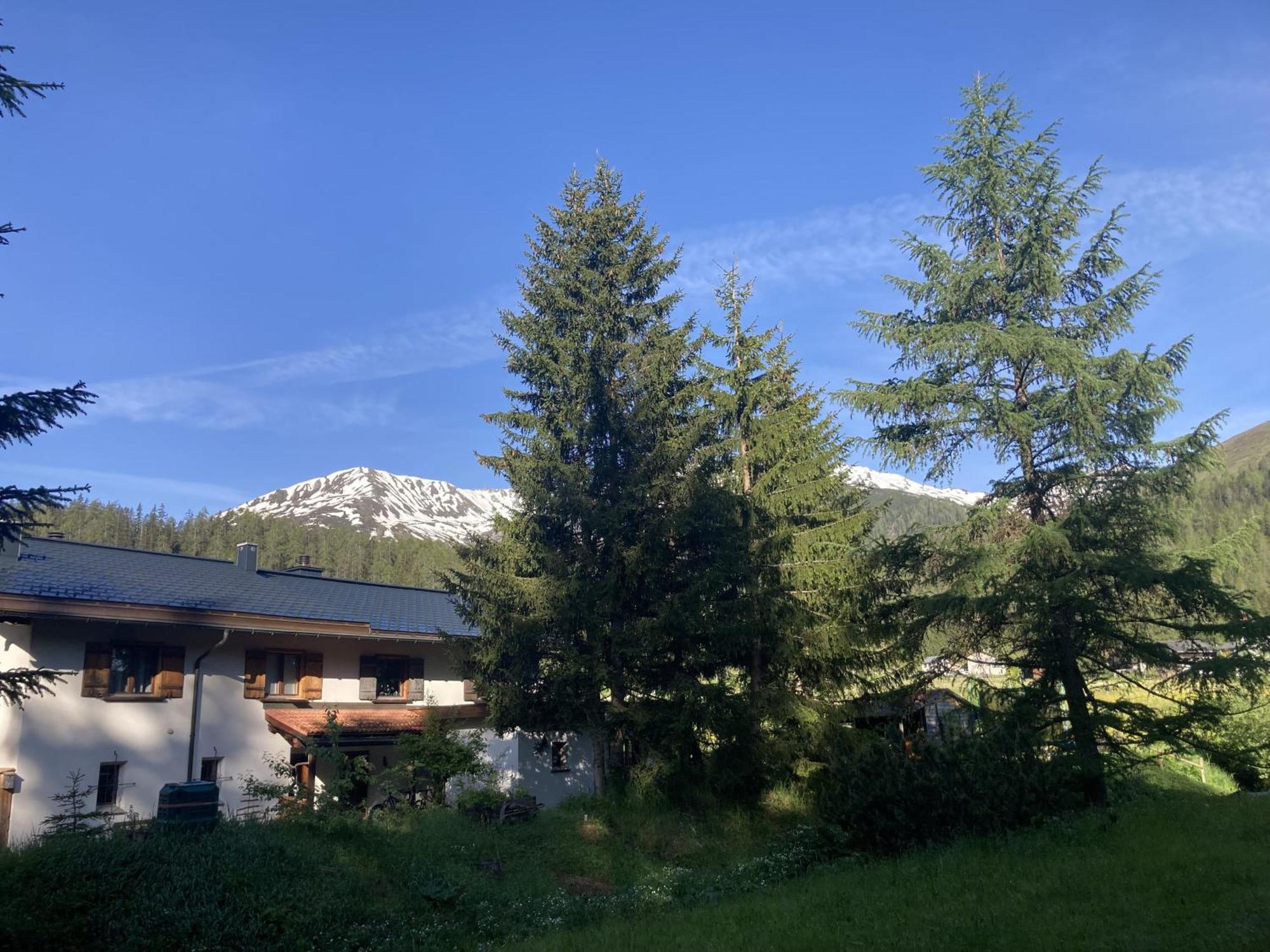 Ferienwohnung Haus Ginseng Davos Eksteriør billede